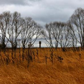 ����: � ����� ����, ����� �������� 