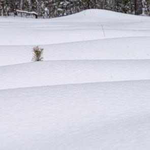 ����: � ������� �����