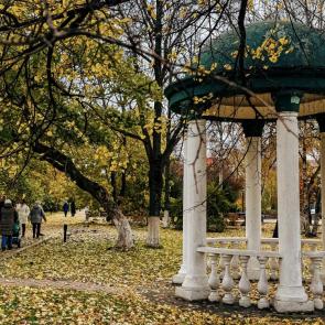 ���� ��������: ������� ��������� ������