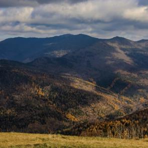 ���� ��������: ������� ����� �.�������