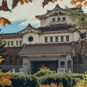 ����: ����� �.����-���������� 