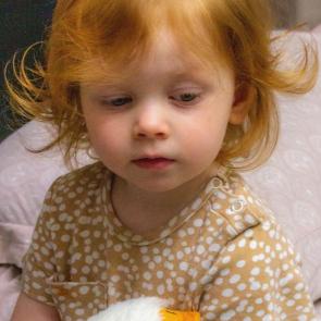 ��������� ������� ������ 