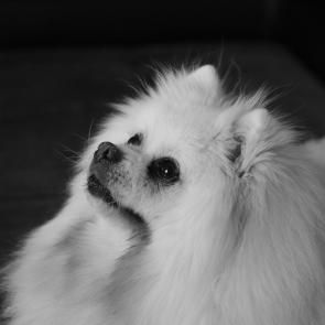 ���� ��������: 