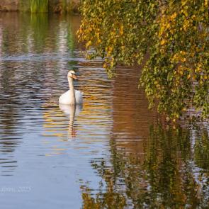 ����: �������� ������