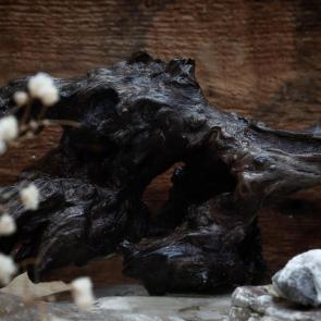 ���� ��������: ��������� � ������� �����...