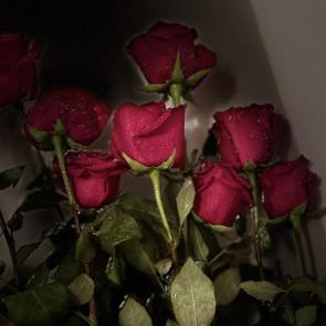 ����: ��� ������� 