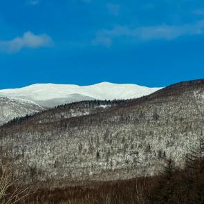 ����: �.�������