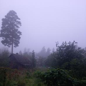 ����: ����