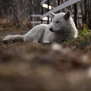 ���� ��������: ����� 