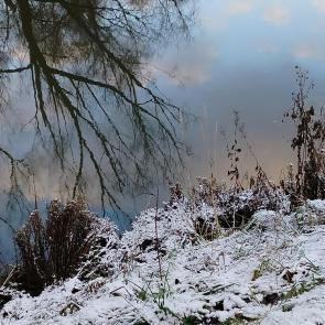 ����: ���������