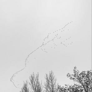 ����: �� ��