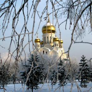 ����: ������-������������ �����.