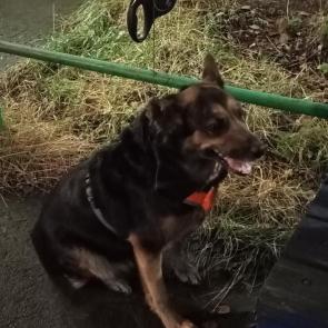 ����: ������� �������