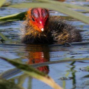 ���� ��������: � ����� ���������))