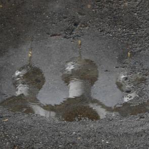 ����: ���������