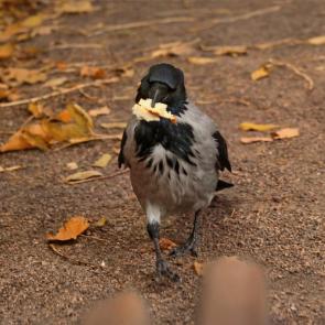 ����: � � ��� �����... 