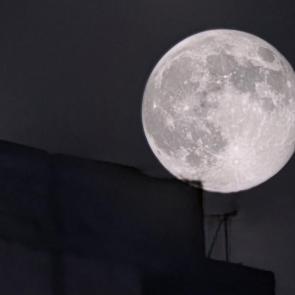 ����: ������