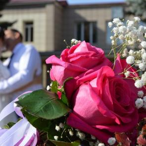 ����: �������