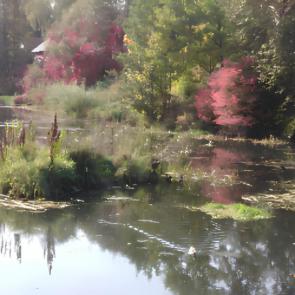 ����: ������� � ����