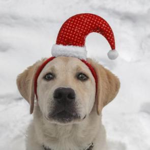 ����: � �����������!