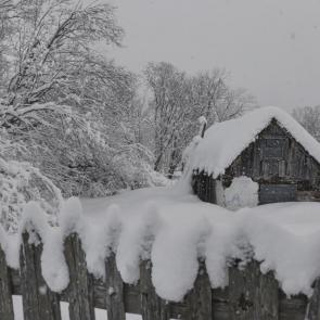 ����: � ������� �������