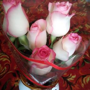 ����: ���� � ����