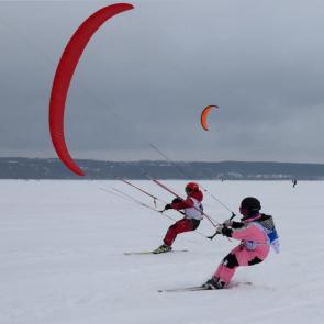 ����: �����������.