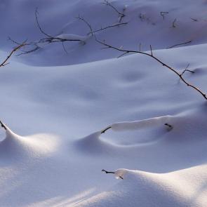 ����: � ����� ������������ ...