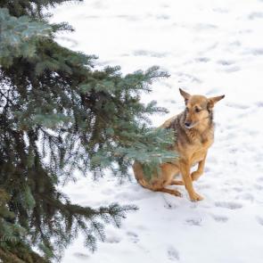 ����: �������� ��� �����