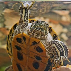 ����: ���� ������!