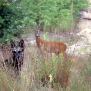 ����: �� �����