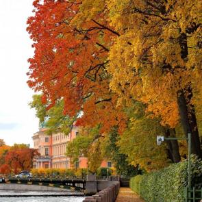 ����: ������ ���. 