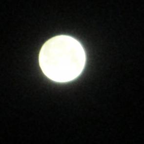 ����: ����