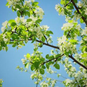 ����: �������� ����� 