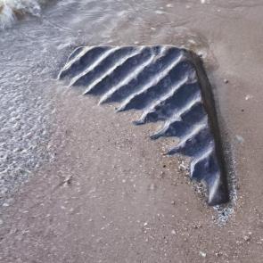 ����: ���� ���� �� �����