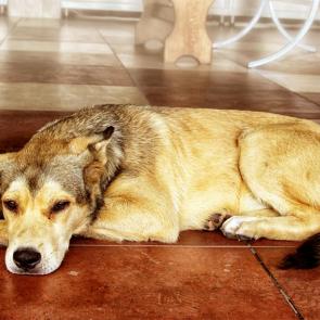 ����: ������� ������... .