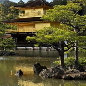 ����:  ������� ���� �����