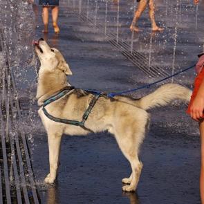 ����: �����