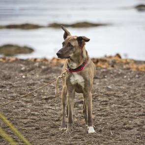 ��������� �������� ��������