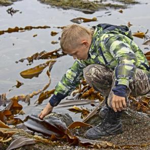 ����: ������� �������� ������� �������