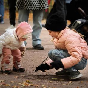 ����: ������� � �������. 