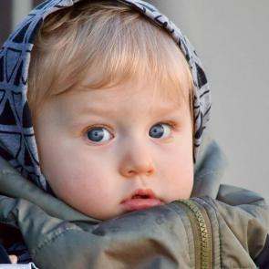 ����: �������