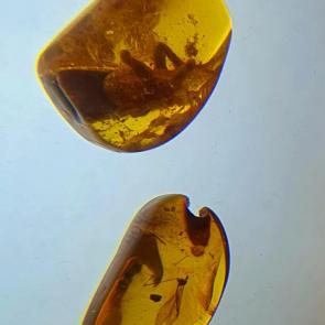 ����: ������� ������ � ���������� ����������