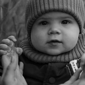 ����: �� �����