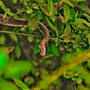 ����: ������ ������ � ������