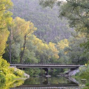 ����: ������� ������