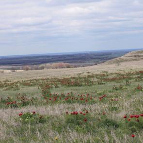 ����: ����� � �����