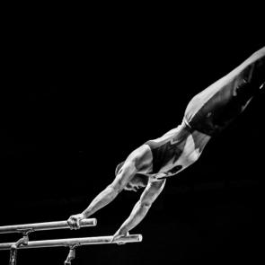 ����: ������ ����������