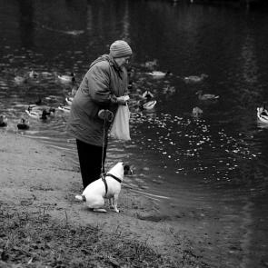 ����: ������ ������ � �����������.