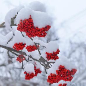 ����: ��� �������� ���������. 